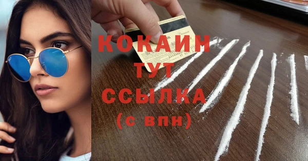 дмт Белокуриха