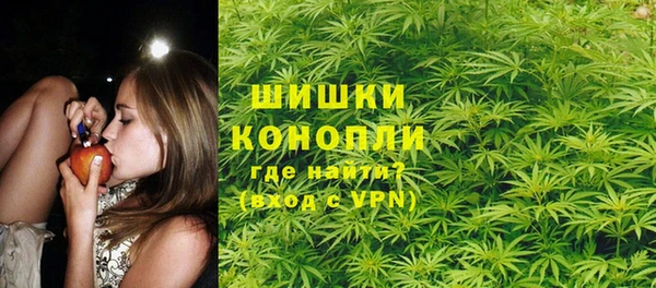 дмт Белокуриха